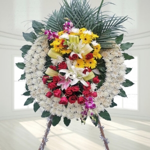 舉踵思望花圈 舉踵思望花圈